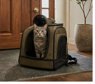 Travel carrier at entryway