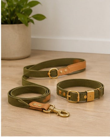 Meravello Adventure Leash & Collar Set