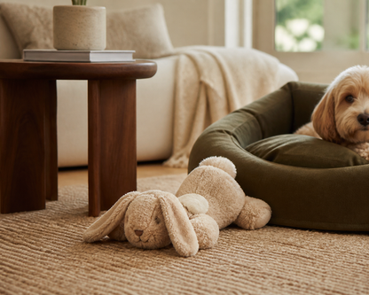 Meravello Plush Bunny Squeaky Toy on a woven living room rug