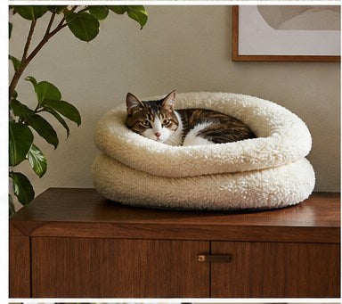 Cat bed at home